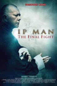 IP Man 4 (2013) ยิปมัน 4 หมัดสุดท้าย ปรมาจารย์ยิปมันหน้าแรก ภาพยนตร์แอ็คชั่น