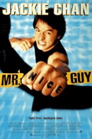 Mr. Nice Guy (1997) ใหญ่ทับใหญ่หน้าแรก ดูหนังออนไลน์ ตลกคอมเมดี้