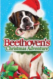 Beethoven s Christmas Adventure (2011) บีโธเฟน ยอดคุณหมากู้คริสต์มาสหน้าแรก ดูหนังออนไลน์ รักโรแมนติก ดราม่า หนังชีวิต
