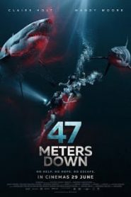 47 Meters Down (2017) 47 ดิ่งลึกเฉียดนรกหน้าแรก ดูหนังออนไลน์ หนังผี หนังสยองขวัญ HD ฟรี