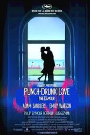 Punch-Drunk Love (2002) พั้น-ดรั้งค์ เลิฟ ขอเมารักให้หัวปักหัวปำ [Soundtrack บรรยายไทย]หน้าแรก ดูหนังออนไลน์ Soundtrack ซับไทย
