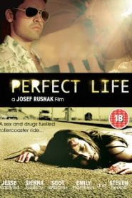 A Perfect Life (2010) พิศวาสสีเลือดหน้าแรก ดูหนังออนไลน์ หนังผี หนังสยองขวัญ HD ฟรี