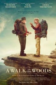 A Walk in the Woods (2015) เข้าป่าหาชีวิต ฉบับคนวัยดึกหน้าแรก ดูหนังออนไลน์ รักโรแมนติก ดราม่า หนังชีวิต