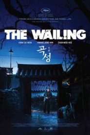 The Wailing (2016) ฆาตกรรมอำปีศาจหน้าแรก ดูหนังออนไลน์ หนังผี หนังสยองขวัญ HD ฟรี