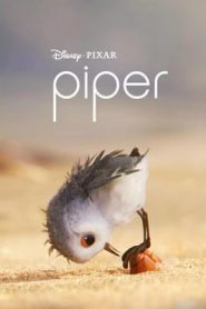 Piper (2016) แอนิเมชั่นสั้น ฉายก่อน FINDING DORYหน้าแรก ดูหนังออนไลน์ การ์ตูน HD ฟรี