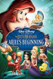 The Little Mermaid: Ariel’s Beginning (2008) เงือกน้อบผจญภัย ภาค 3หน้าแรก ดูหนังออนไลน์ การ์ตูน HD ฟรี