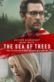 The Sea of Trees (2015) ทะเลต้นไม้หน้าแรก ดูหนังออนไลน์ รักโรแมนติก ดราม่า หนังชีวิต