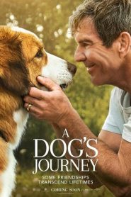 A Dog’s Journey (2019) หมา เป้าหมาย และเด็กชายของผม 2หน้าแรก ดูหนังออนไลน์ รักโรแมนติก ดราม่า หนังชีวิต
