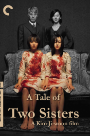 A Tale of Two Sisters (2003) ตู้ซ่อนผีหน้าแรก ดูหนังออนไลน์ หนังผี หนังสยองขวัญ HD ฟรี