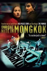 One Nite in Mongkok (2004) ดับตะวันล่าหน้าแรก ภาพยนตร์แอ็คชั่น