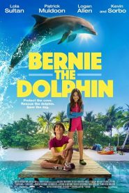 Bernie The Dolphin (2018) เบอร์นี่ โลมาน้อย หัวใจมหาสมุทรหน้าแรก ดูหนังออนไลน์ รักโรแมนติก ดราม่า หนังชีวิต