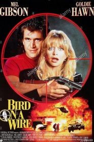 Bird on a Wire (1990) ดับอำมหิตหน้าแรก ภาพยนตร์แอ็คชั่น