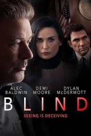 Blind (2017) เล่ห์รักบอดหน้าแรก ดูหนังออนไลน์ รักโรแมนติก ดราม่า หนังชีวิต