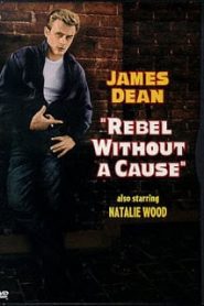 Rebel Without a Cause (1955) วัยอันตรายหน้าแรก ดูหนังออนไลน์ ตลกคอมเมดี้