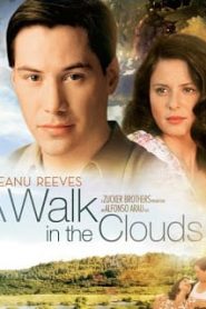 A Walk in the Clouds (1995) จะขอบูชาหัวใจเธอไว้ที่วิมานเมฆหน้าแรก ดูหนังออนไลน์ รักโรแมนติก ดราม่า หนังชีวิต