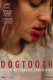 Dogtooth (Kynodontas) (2009) ครอบครัววิปลาศ 20+ ฉากมีความรุนแรงและเห็นอวัยวะเพศหน้าแรก ดูหนังออนไลน์ 18+ HD ฟรี