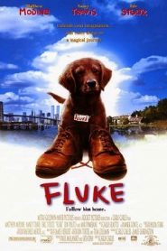 Fluke (1995) เกิดใหม่กลายเป็นหมาหน้าแรก ดูหนังออนไลน์ รักโรแมนติก ดราม่า หนังชีวิต