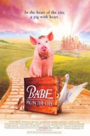 Babe Pig in the City (1998) เบ๊บ หมูน้อยหัวใจเทวดา 2 (เสียงไทย)หน้าแรก ดูหนังออนไลน์ แฟนตาซี Sci-Fi วิทยาศาสตร์