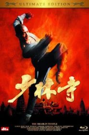 The Shaolin Temple (1982) เสี่ยวลิ้มยี่หน้าแรก ภาพยนตร์แอ็คชั่น