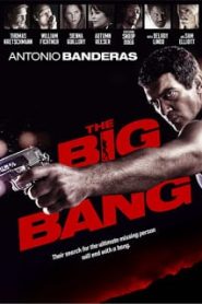 The Big Bang (2010) สืบร้อนซ่อนปมมรณะหน้าแรก ภาพยนตร์แอ็คชั่น