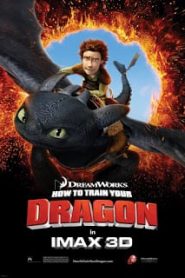 How to Train Your Dragon (2010) อภินิหารไวกิ้ง พิชิตมังกรหน้าแรก ดูหนังออนไลน์ การ์ตูน HD ฟรี