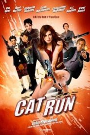 Cat Run (2011) แก๊งค์ป่วน ล่าจารชนหน้าแรก ภาพยนตร์แอ็คชั่น