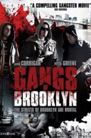 Gangs of Brooklyn (Kamal Ahmed) (2012) คนโฉดเมืองอันธพาลหน้าแรก ภาพยนตร์แอ็คชั่น