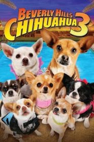 Beverly Hills Chihuahua 3 Viva La Fiesta (2012) คุณหมาไฮโซ โกบ้านนอก ภาค 3หน้าแรก ดูหนังออนไลน์ ตลกคอมเมดี้