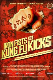 Iron Fists and Kung Fu Kicks (2019) กังฟูสะท้านปฐพีหน้าแรก ดูสารคดีออนไลน์