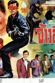 Jao Insi (1968) จ้าวอินทรีหน้าแรก ภาพยนตร์แอ็คชั่น