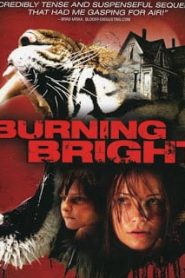 Burning Bright (2010) ขังนรกบ้านเสือดุหน้าแรก ภาพยนตร์แอ็คชั่น
