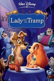Lady and the Tramp (1955) ทรามวัยกับไอ้ตูบหน้าแรก ดูหนังออนไลน์ การ์ตูน HD ฟรี