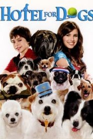 Hotel For Dogs (2009) โรงแรมสี่ขาก๊วนหมาจอมกวนหน้าแรก ดูหนังออนไลน์ รักโรแมนติก ดราม่า หนังชีวิต