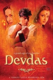 Devdas (2002) ทาสหัวใจเหนือแผ่นดินหน้าแรก ดูหนังออนไลน์ รักโรแมนติก ดราม่า หนังชีวิต