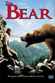 The Bear (1988) หมีเพื่อนเดอะหน้าแรก ดูหนังออนไลน์ รักโรแมนติก ดราม่า หนังชีวิต