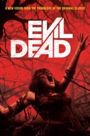 Evil Dead (2013) ผีอมตะหน้าแรก ดูหนังออนไลน์ หนังผี หนังสยองขวัญ HD ฟรี