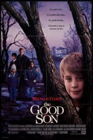 The Good Son (1993) โดดเดี่ยวนิสัยมรณะหน้าแรก ภาพยนตร์แอ็คชั่น