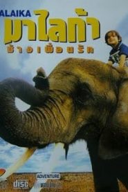 Malaika (1998) ช้างเพื่อนรักหน้าแรก ดูหนังออนไลน์ รักโรแมนติก ดราม่า หนังชีวิต