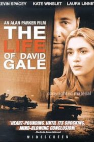 The Life of David Gale (2003) แกะรอย ปมประหารหน้าแรก ภาพยนตร์แอ็คชั่น