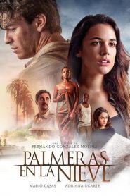 Palm Trees in the Snow Palmeras en la nieve (2015) ต้นปาล์มท่ามกลางหิมะหน้าแรก ดูหนังออนไลน์ Soundtrack ซับไทย
