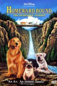 Homeward Bound: The Incredible Journey (1993) 2 หมา 1 แมว ใครจะพรากเราไม่ได้หน้าแรก ดูหนังออนไลน์ รักโรแมนติก ดราม่า หนังชีวิต