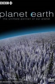 Planet Earth 10 Seasonal Forests ผันเปลี่ยนฤดูกาลหน้าแรก ดูสารคดีออนไลน์