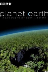 Planet Earth 4 Caves ใต้ผืนปฐพีหน้าแรก ดูสารคดีออนไลน์