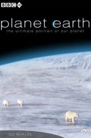 Planet Earth 6 Ice Worlds มุ่งสู่แดนน้ำแข็งหน้าแรก ดูสารคดีออนไลน์