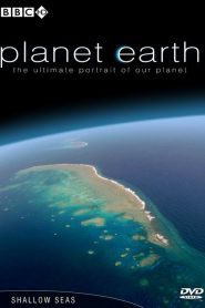 Planet Earth 9 Shallow Seas มหัศจรรย์ใต้ท้องทะเลหน้าแรก ดูสารคดีออนไลน์