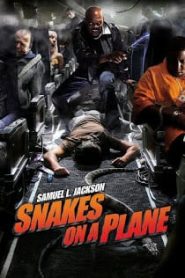 Snakes on a Plane (2006) เลื้อยฉก เที่ยวบินระทึกหน้าแรก ดูหนังออนไลน์ แฟนตาซี Sci-Fi วิทยาศาสตร์