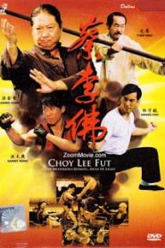 Cai li fu (2011) ไอ้หนุ่มกังฟูสู้ท้าลุยหน้าแรก ภาพยนตร์แอ็คชั่น