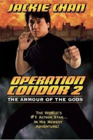 Armour of God 2: Operation Condor (1991) ใหญ่สั่งมาเกิด 2 ตอน อินทรีทะเลทรายหน้าแรก ภาพยนตร์แอ็คชั่น