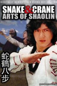 Snake and Crane Arts of Shaolin (1978) ศึกบัญญัติ 8 พญายมหน้าแรก ภาพยนตร์แอ็คชั่น