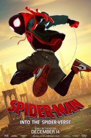Spider-Man: การ์ตูน Into the Spider-Verse (2018) สไปเดอร์-แมน: ผงาดสู่จักรวาล-แมงมุมหน้าแรก ดูหนังออนไลน์ การ์ตูน HD ฟรี